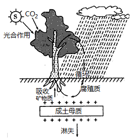 图片_x0020_2046284999