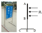 图片_x0020_100016