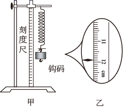 图片_x0020_1013566880