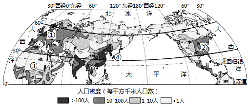 图片_x0020_100019