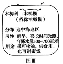 图片_x0020_100003