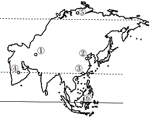 图片_x0020_800316444