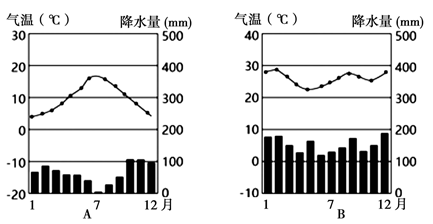 图片_x0020_100024