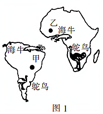 图片_x0020_1510077159