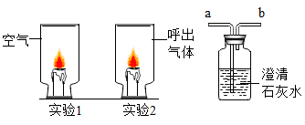 图片_x0020_2133838608