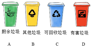 图片_x0020_1269930731