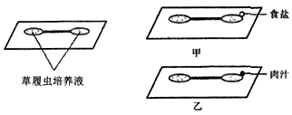 图片_x0020_100006