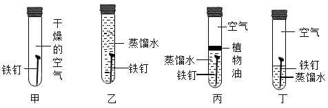 图片_x0020_100005