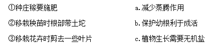 图片_x0020_100006