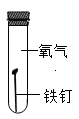 图片_x0020_1199442871