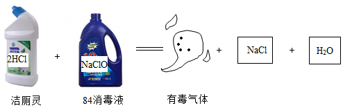 图片_x0020_1286179213