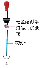 图片_x0020_1295756759