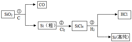 图片_x0020_100010