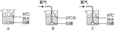 图片_x0020_1109117996