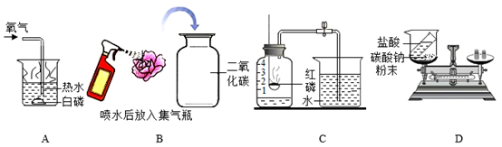 图片_x0020_373945242
