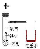 图片_x0020_100005