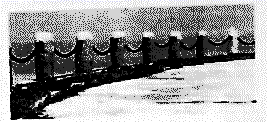 图片_x0020_100007