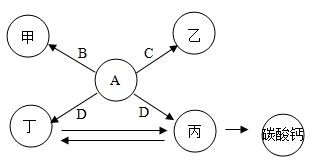 图片_x0020_957983470