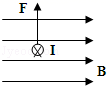 图片_x0020_100003