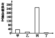 图片_x0020_100007