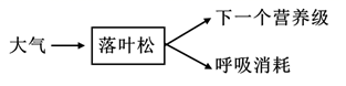 图片_x0020_100016