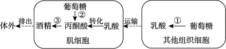 图片_x0020_100007