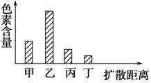 图片_x0020_100005