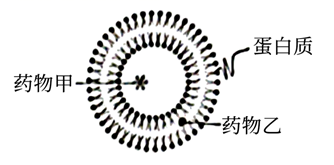 图片_x0020_100003