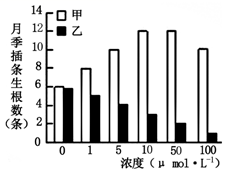 图片_x0020_100005