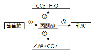 图片_x0020_100004