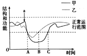图片_x0020_100009