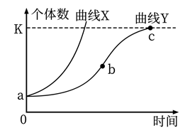 图片_x0020_1952207201