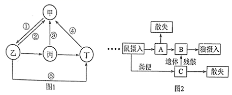 图片_x0020_100017