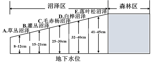 图片_x0020_100015