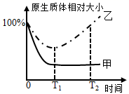 图片_x0020_100004
