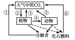 图片_x0020_100006