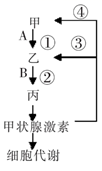图片_x0020_100006