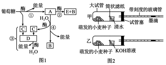 图片_x0020_1760705681