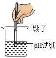 图片_x0020_1628220005