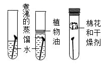 图片_x0020_1617385766