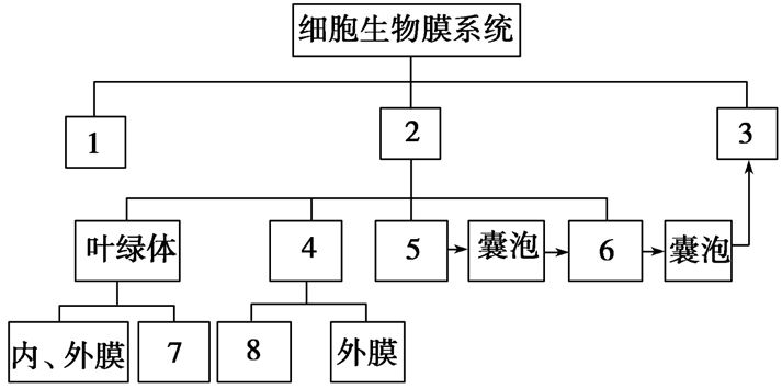 图片_x0020_100010