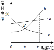 图片_x0020_100001