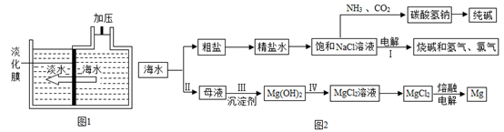 图片_x0020_1175879381