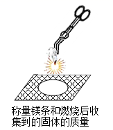 图片_x0020_1661473632