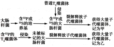 图片_x0020_100005