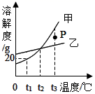 图片_x0020_100006