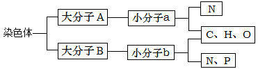 图片_x0020_100007