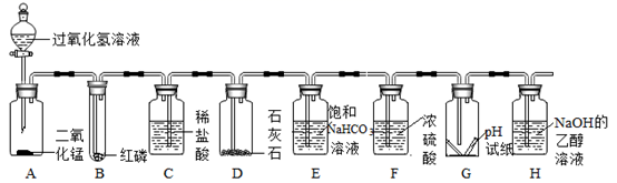 图片_x0020_1017923794