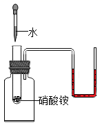 图片_x0020_1595558036