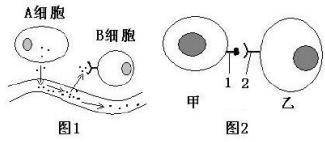 图片_x0020_100017
